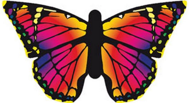 Immagine di BUTTERFLY SWALLOWTALL "R"