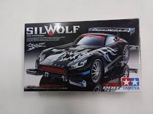 Immagine di MINI 4 WD PRO SILWOLF MA