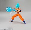 Immagine di DRAGONBALL SUPER SAIYAN GOD SUPER SON GOKU
