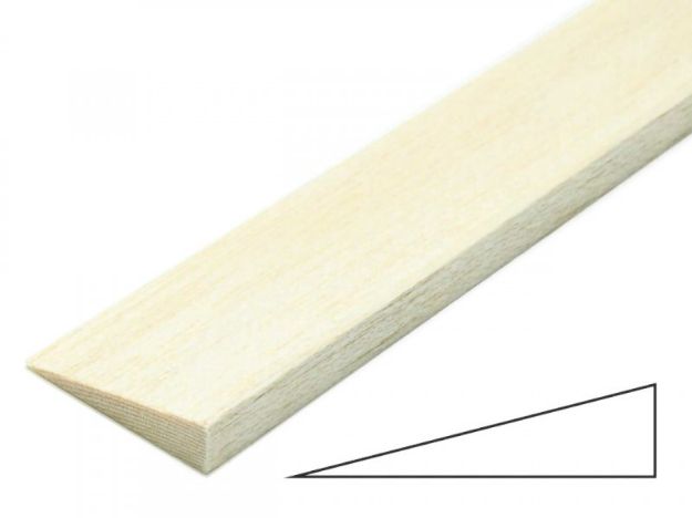Immagine di B. USC. 10 x 40 (P)