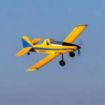 Immagine di AIR TRACTOR BNF BASIC
