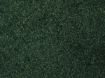 Immagine di ERBA VERDE MEDIO SOTTOBOSCO 42 g