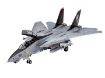 Immagine di F-14D SUPER TOMCAT