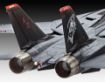Immagine di F-14D SUPER TOMCAT