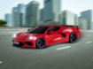 Immagine di CORVETTE C8 1/24 RC