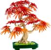 Immagine di LEGO BONSAI ACERO ROSSO GIAPPONESE