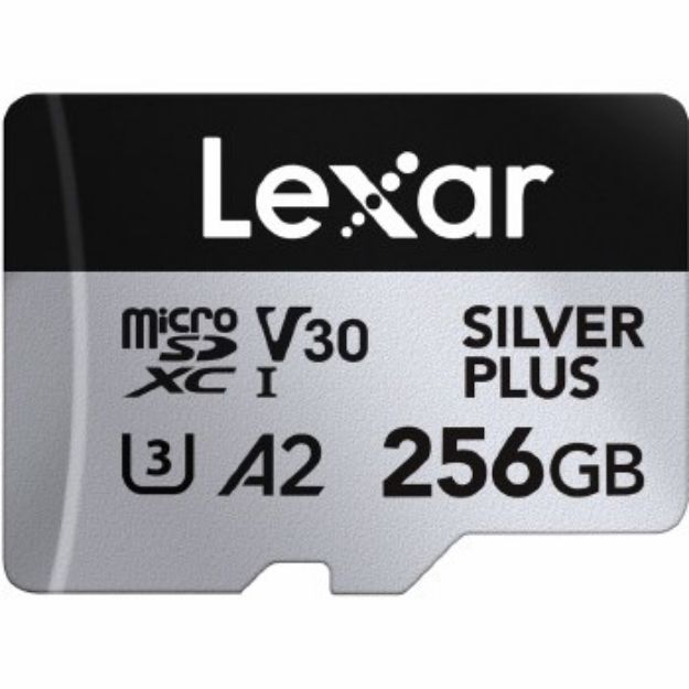 Immagine di SCHEDA LEXAR 256GB SILVER SDXC PLUS A2 V30