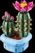 Immagine di CACTUS IN FIORE BOTANICALS